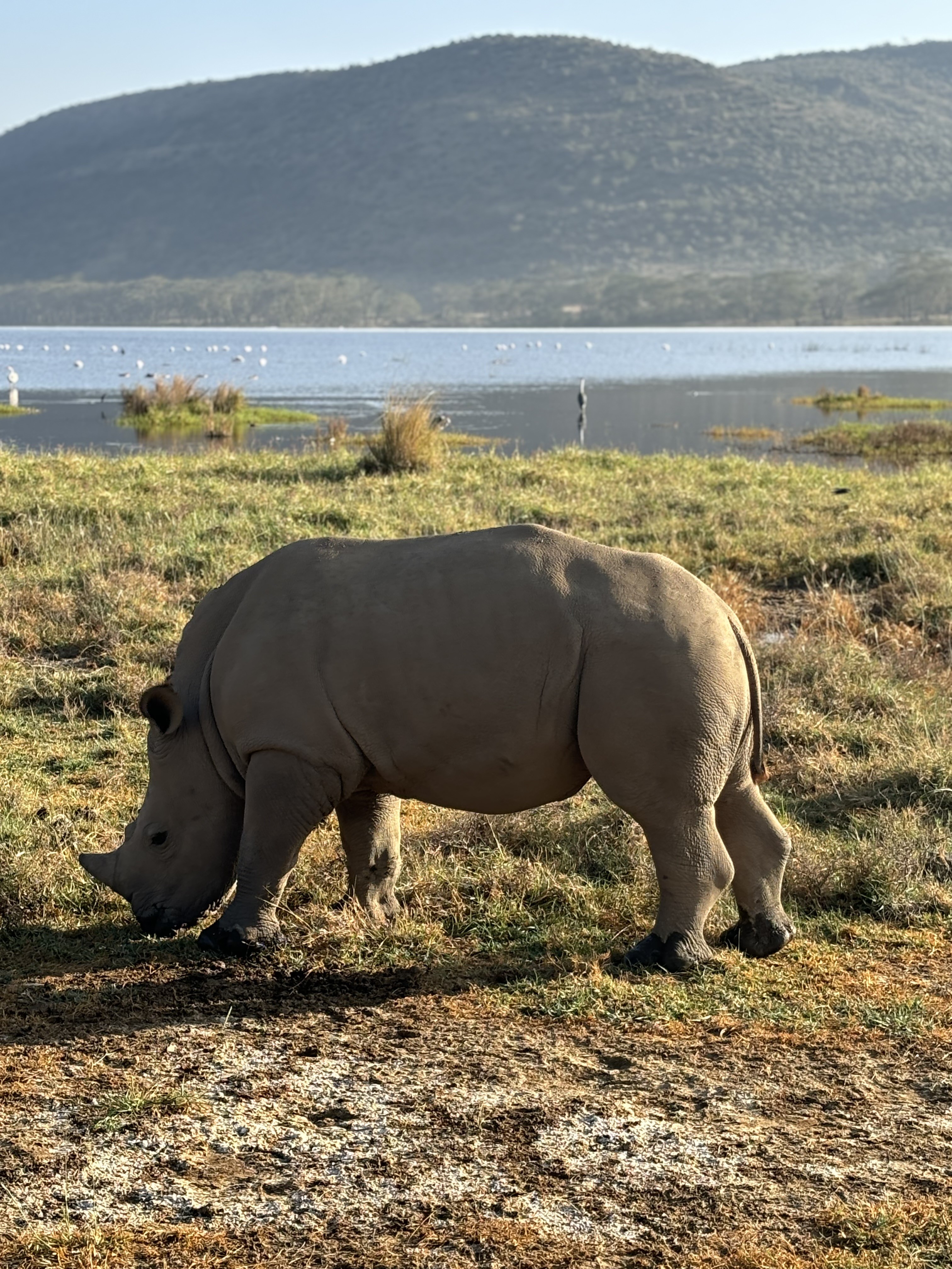 Lake Nakuru